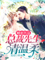 婚戀告急：總裁先生請溫柔