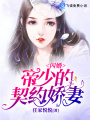 閃婚，帝少的契約嬌妻