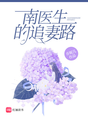 南醫(yī)生的追妻路