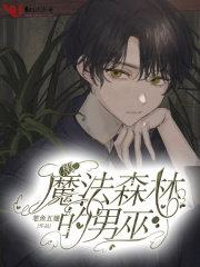 黑魔法森林的男巫