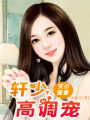 天價寵妻：軒少，高調寵