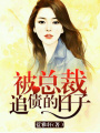 被總裁追債的日子