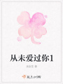 从未爱过你1