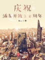 慶祝浦東開放30周年
