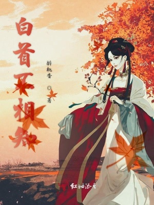 白首不相知