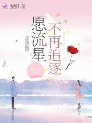 愿流星不再追逐