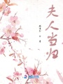 夫人當歸