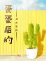蛋蛋后的滿天星辰