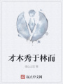 才木秀于林而