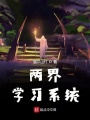 兩界學(xué)習(xí)系統(tǒng)