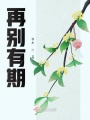 再別有期