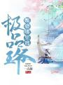 極品王爺：媒婆，哪里逃