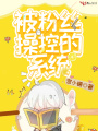 被粉絲操控的系統