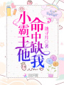 小霸王他命中缺我
