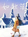 如歌草