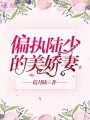偏执陆少的美娇妻