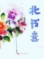 北書意