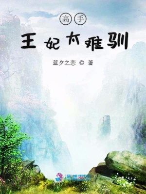 高手王妃太難馴