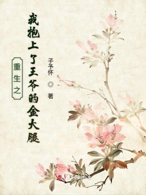 重生之我抱上了王爺的金大腿
