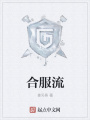 合服流
