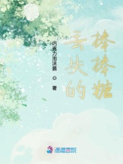 丟失的棒棒糖