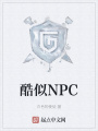 酷似NPC