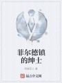 菲爾德鎮的紳士