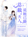 總裁，夫人說她已婚