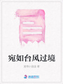 宛如臺風過境