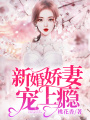 新婚嬌妻寵上癮
