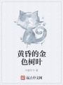 黃昏的金色樹葉