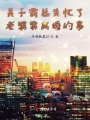 关于霸总失忆了老婆要离婚的事