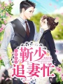 天降萌寶：靳少追妻忙