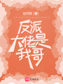 反派大佬是我哥