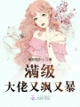 滿(mǎn)級大佬又颯又暴