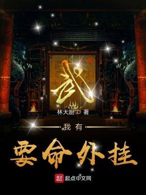 我有要命外掛