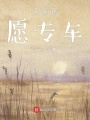 萬(wàn)界許愿專(zhuān)車(chē)