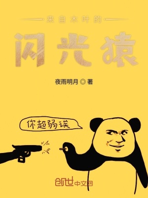 來自木葉的閃光猿