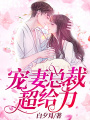 寵妻總裁超給力