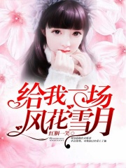 給我一場風花雪月