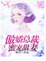 傲嬌總裁蜜寵甜妻