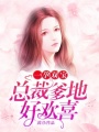 一孕雙寶：總裁爹地好歡喜