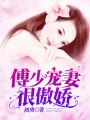 傅少寵妻很傲嬌
