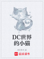 DC世界的小貓