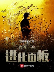 我有一塊進(jìn)化面板