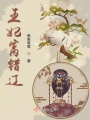王妃窩錯(cuò)遼