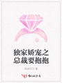 獨家嬌寵之總裁要抱抱