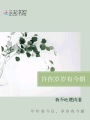 許你歲歲有今朝