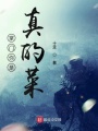 掌門(mén)你是真的菜