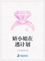 嬌小姐在逃計劃